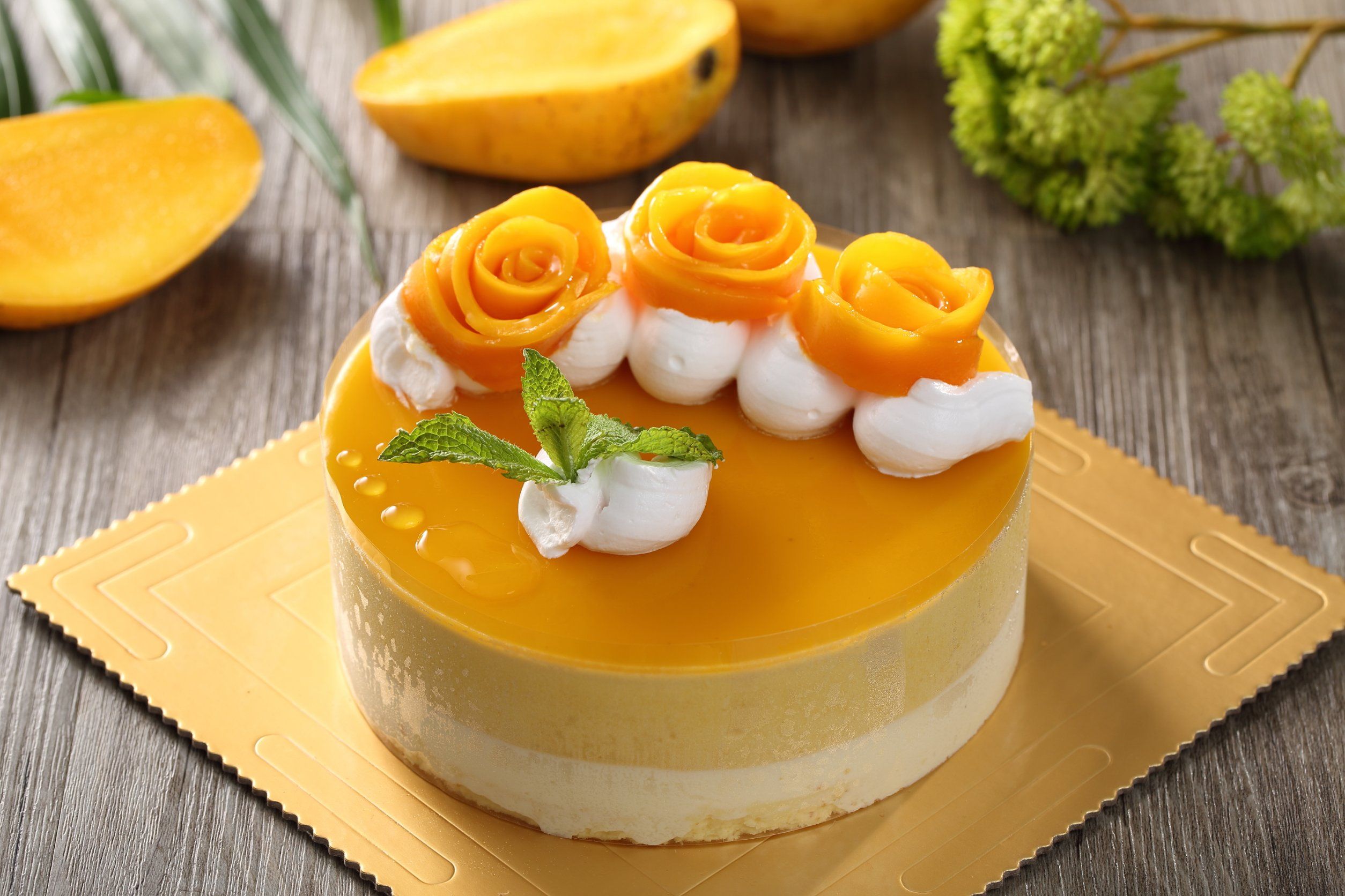 gallery bg image