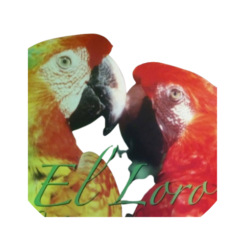 El Loro Coon Rapids11590 Robinson Dr, Coon Rapids, MN, USAAmerican,Latin American,Mexican Restaurant